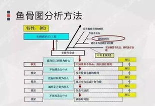 質量管理初級入門 用魚骨圖找出問題的原因