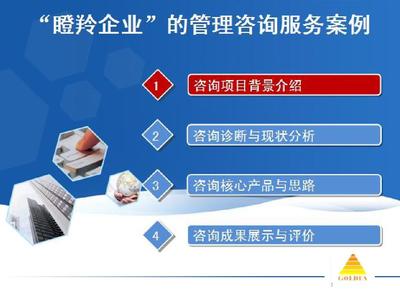 瞪羚企業咨詢案例-20140619