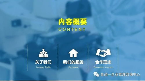 企業(yè)人員管理項(xiàng)目咨詢 金諾一企業(yè)管理咨詢中心介紹