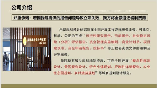 雅安撰寫項目申請報告的公司 立項書效益可觀